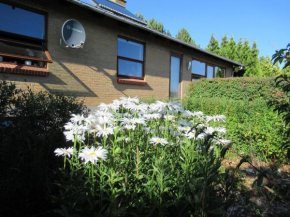 Æbelø-guidens B&B, Bogense